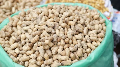 Close Up of Peanuts in a Green Container
