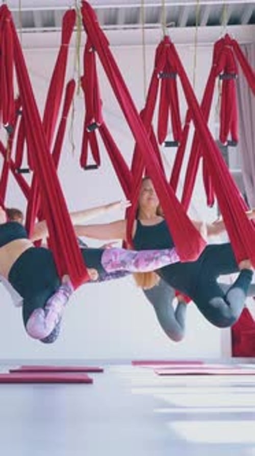 Oriental Fly Yoga Hammocks Hold Pretty Flexible Ladies