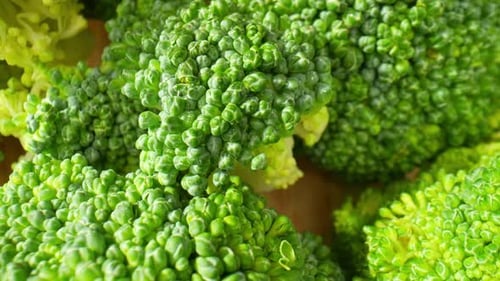 Close-up of Green Broccoli Florets