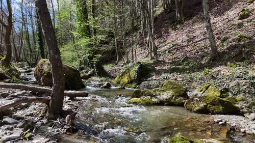 Video zur Small Creek-Drohne