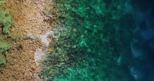 Drone Over Tropical Reef and Sand Bar