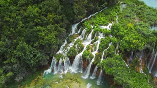 Summer forest and mountain landscape with streams of water and waterfalls. Cascades flow among lush