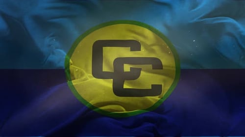 Textured Waving Flag Background Animation with Logo