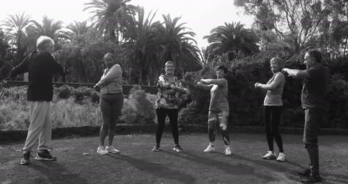 Fit Senior People Doing Stretching Exercise At City Park - Group Of Elderly Friends Doing Sport W...