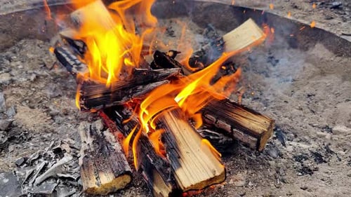 Close up of campfire. Logs burning during daytime at camp.
