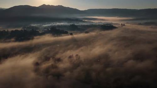 Morning mist