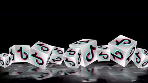 Animación del Logo de Tiktok Box con Reflejo