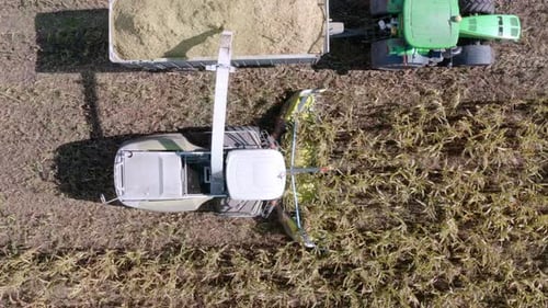 Harvesting Machine Gathering Corn on Farmland Aerial View