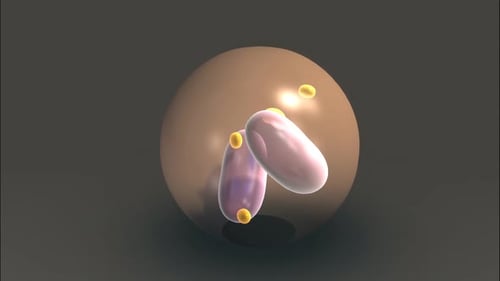Abstract scientific visualization of microscopic biological cell structures