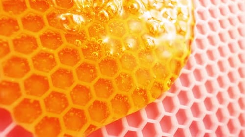 Bee Honeycombs and Honey
