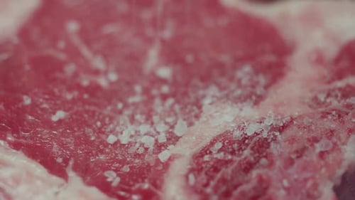 Fresh Raw Beef Steak Close Up Fresh Raw Beef Steak with Spices Meat Filet for Gastronomic Culinary