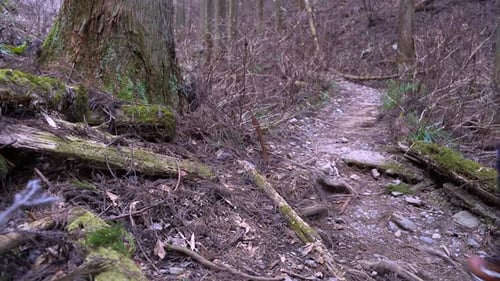 A Young Tired Hikers Walking On The Creepy Path Of The Mountain With His Backpack - Medium Shot
