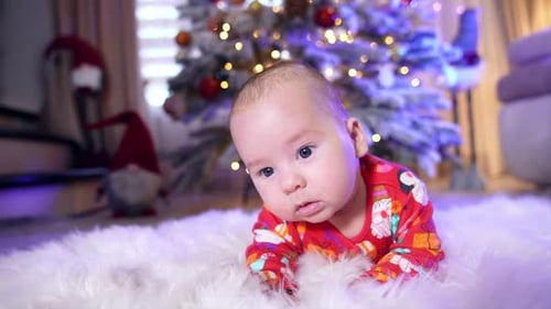 Baby Lies on Stomach Next to Christmas Tree