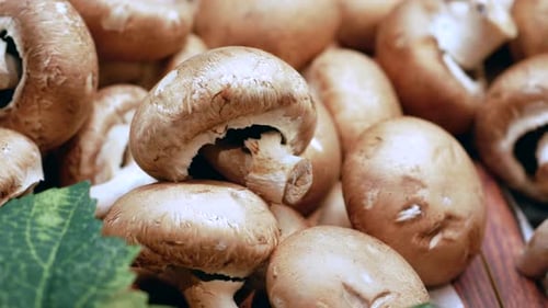 Haufen Champignonpilze aus nächster Nähe