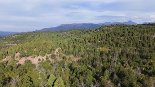 Drone shot over green forest with mountain range in the distance under blue sky