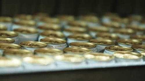 Cans in the production line of a factory
