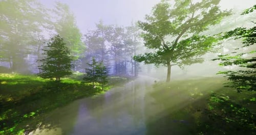Lush Green Forest with Mist and a Tranquil Stream in Early Morning Light