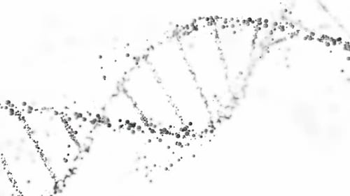 Rendu 3D d'une structure en double hélice d'ADN avec des sphères sur fond blanc avec espace de copie. Génération