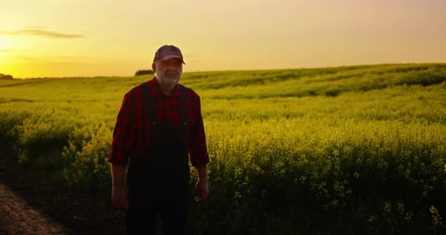 Agriculture And Agribusiness In Ecological Region Old Man Walking Alone In Farmland Happy Summer