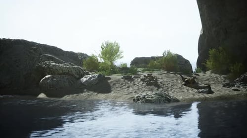 A Serene Island in the Middle of a Tranquil Body of Water