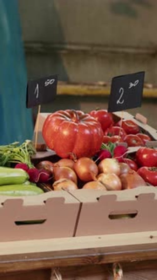Vertical Video Boxes Filled with Organic Fruits and Vegetables Placed on Stand