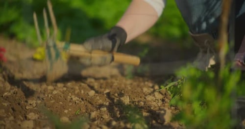 Working the Soil with a Garden Fork