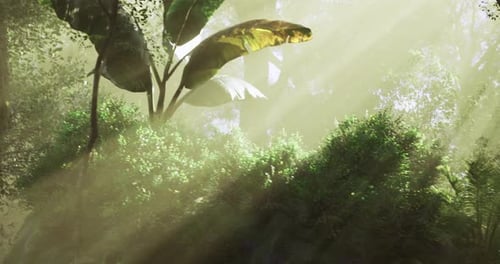 Sunlight Filters Through Lush Greenery in a Tranquil Forest Setting