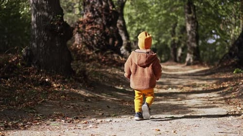 Rear view of a toddler boy wearing warm jacket and cap. Kid walks by the pat in the park in autumn.
