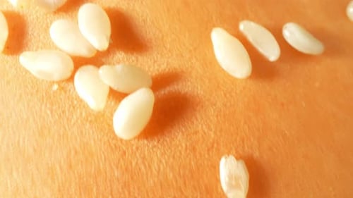 Burger buns with white sesame in macro video