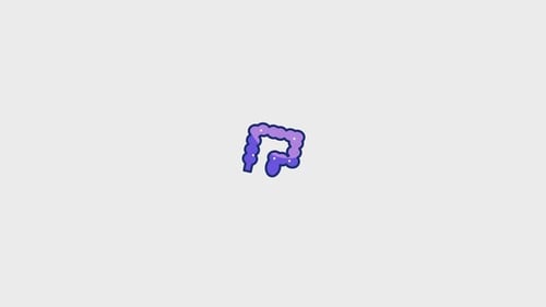 Colon Animated Icon