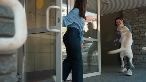 Woman and Man Interact with Cheerful Dog on City Sidewalk Caucasian Woman Exchanges Friendly