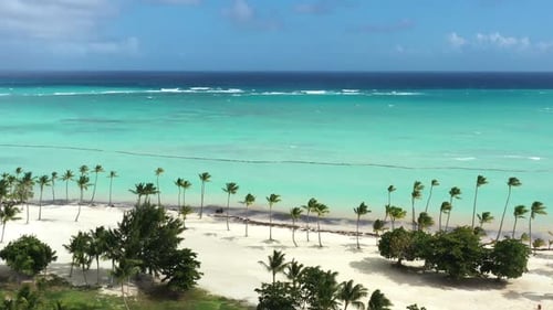 Juanillo Beach with Palm Trees White Sand and Turquoise Caribbean Sea Cap Cana is Tourist Area in