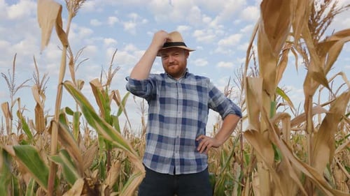 Farmer Standing in a Corn Field