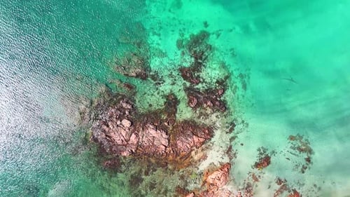 Turquoise sea.