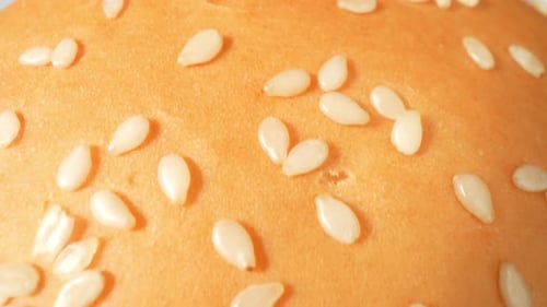 Close Up of Burger Bun with Sesame Seeds