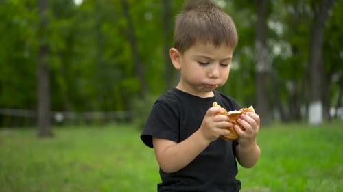 Little Boy Eats Cheeseburger in Park and Looks at Camera Portrait Shot
