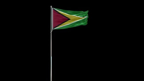 Guyana Flag Waving on Pole with Alpha Channel