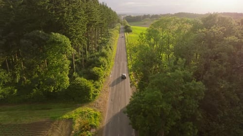 Aerial Views Capture a Car Navigating a Serene Countryside Road Flanked By Lush Forests and Vibrant