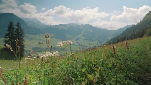 Bergblick in der Schweiz 4K