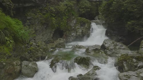 Water cascades and flows over rocks in Lynn Canyon Vancouver