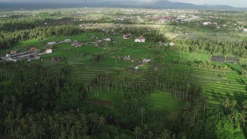 Aerial drone view of secret waterfall hidden between rice fields near Ubud in Bali, Indonesia