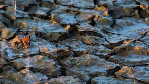 Raindrops Falling on Cracked Earth Texture