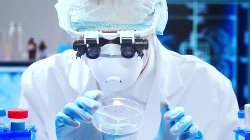 Scientist Examines Petri Dish in Bright Laboratory