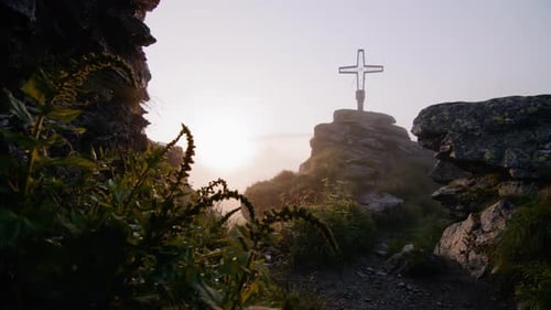 Austrian alps summit cross with flowers and rocks in the foreground and sun shining low in the backg