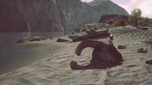 Cinematic Animal Skull in a Desolate Nature Landscape
