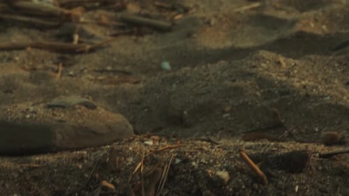 Arena en la playa que se inclina y se extiende hacia las olas del mar