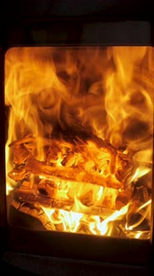 Un feu de camp dans la forêt brûle avec une flamme vive Un feu de camp forestier et du matériel forestier