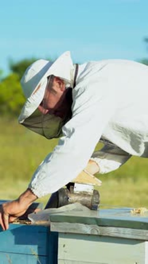 Beekeeper Tending Beehive on a Sunny Day