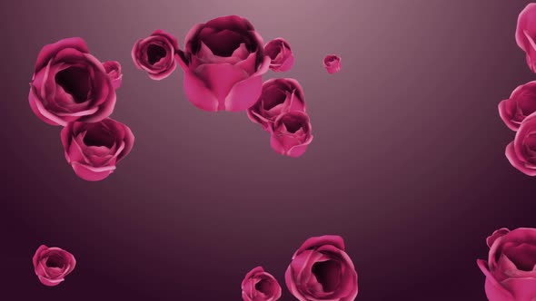 Falling Pink Roses with Beautiful Background, Elements Motion Graphics ...