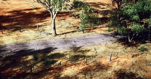 Roadway Through Red Earth and Sparse Trees in Arid Landscape of Australia